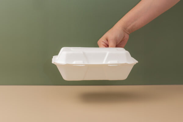 9''X6''X3'' Sugarcane Bagasse Clamshell Container