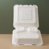 9''X9''X3'' Sugarcane 3 Compartment Bagasse Clamshell Container - Image 4