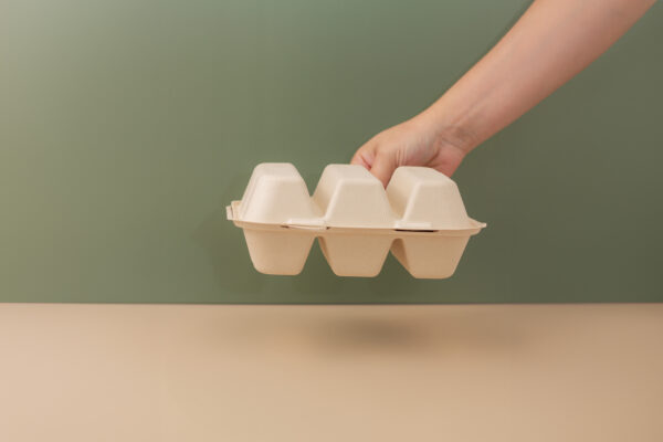 Taco Container-3C - Image 4