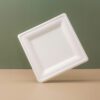 8 Inch Square Sugarcane Plate