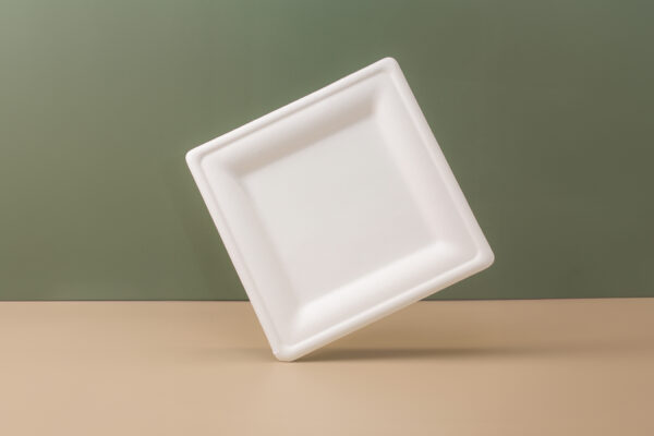 8 Inch Square Sugarcane Plate