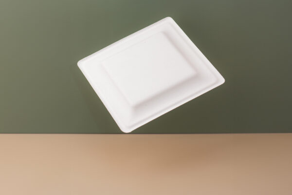 8 Inch Square Sugarcane Plate - Image 3