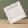 10 Inch Square Sugarcane Plate