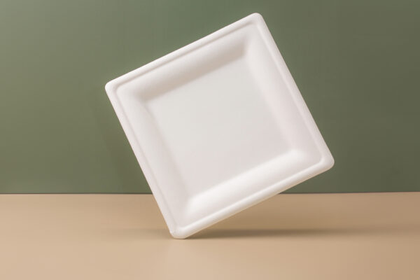 10 Inch Square Sugarcane Plate