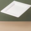 10 Inch Square Sugarcane Plate - Image 2