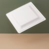 10 Inch Square Sugarcane Plate - Image 3