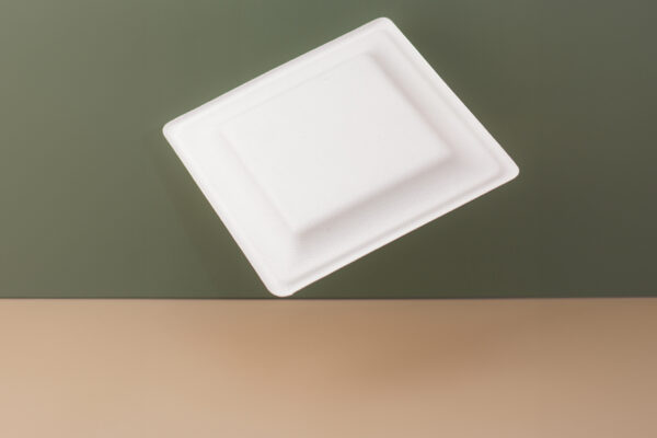 10 Inch Square Sugarcane Plate - Image 3