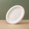 10x8 inch Oval Sugarcane Plate