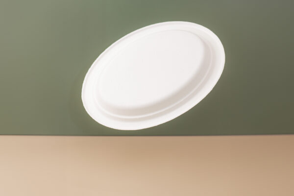 10x8 inch Oval Sugarcane Plate - Image 3